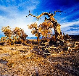 部部是精品！外媒评30款PS4佳作