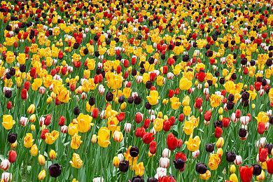 国产大作《仙剑奇侠传七》今日正式上市 全新体验